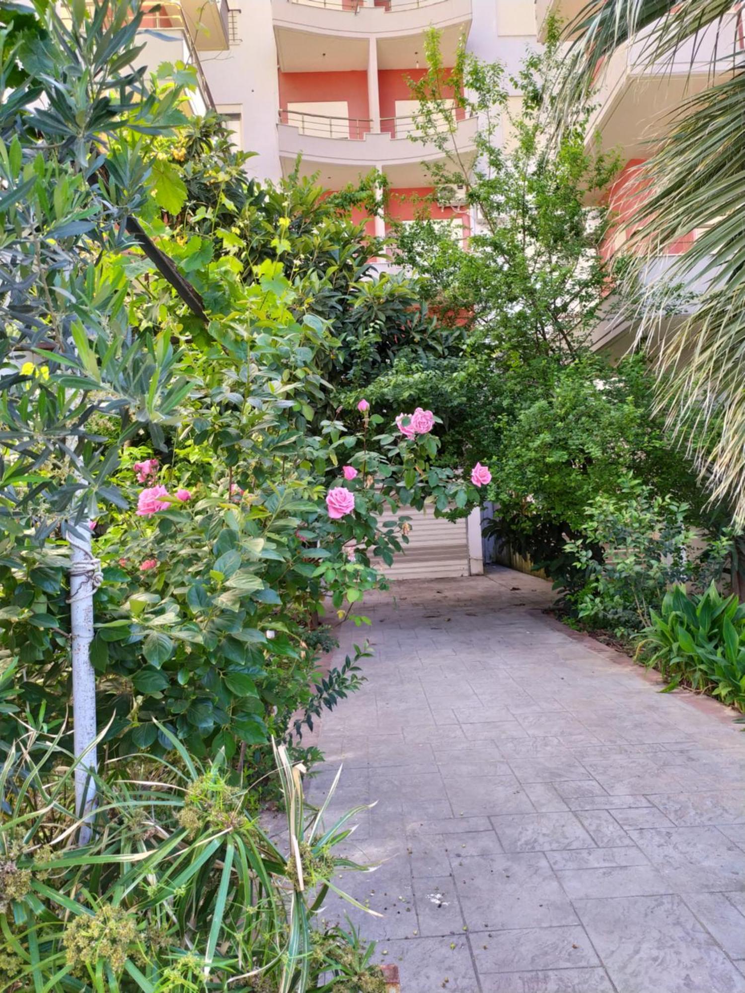 Vlorë Valbona Apartments מראה חיצוני תמונה