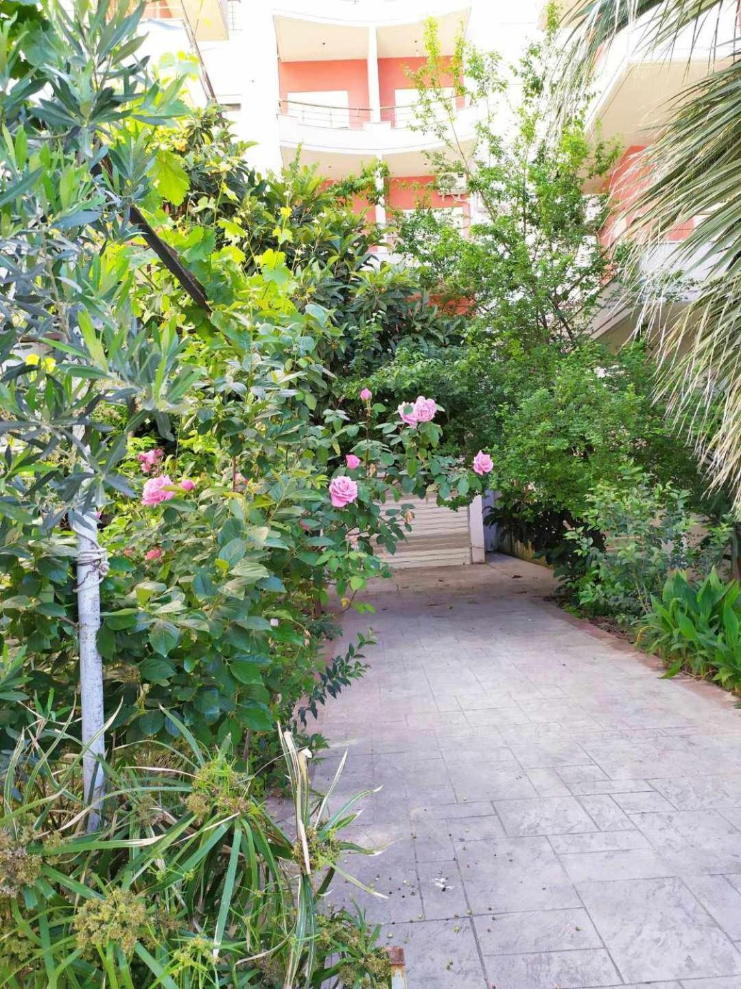Vlorë Valbona Apartments מראה חיצוני תמונה